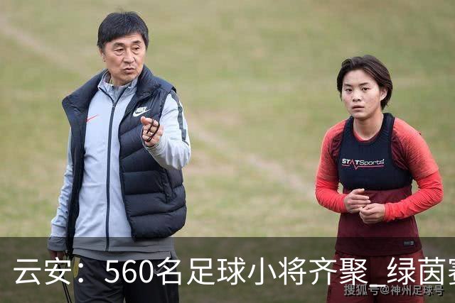 云安：560名足球小将齐聚 绿茵赛场逐梦争锋