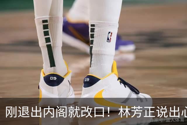 刚退出内阁就改口！林芳正说出心里话：中日开战完全不可想象？
