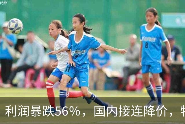 利润暴跌56％，国内接连降价，特斯拉的中国智驾何时兑现？