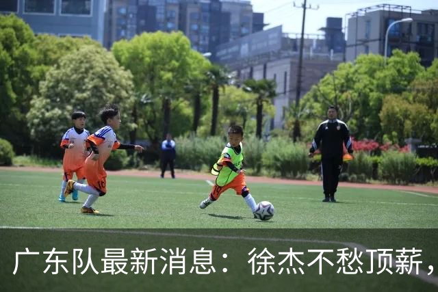 广东队最新消息：徐杰不愁顶薪，王仕鹏一针见血，萨姆纳或被裁掉