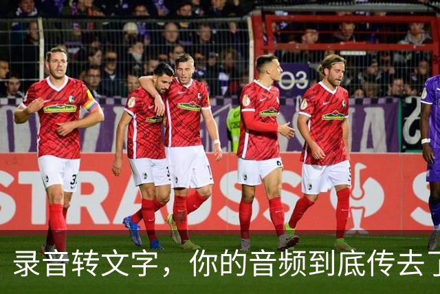 录音转文字，你的音频到底传去了哪台服务器？