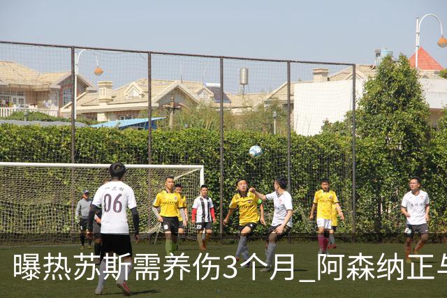 曝热苏斯需养伤3个月 阿森纳正与巴西队交涉