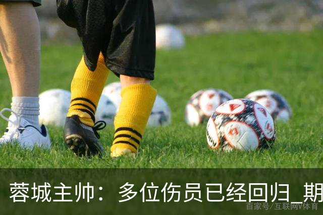 蓉城主帅：多位伤员已经回归 期待主场把这个冠军拿下