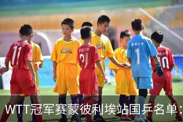 WTT冠军赛蒙彼利埃站国乒名单：孙颖莎、林诗栋领衔，王楚钦缺席